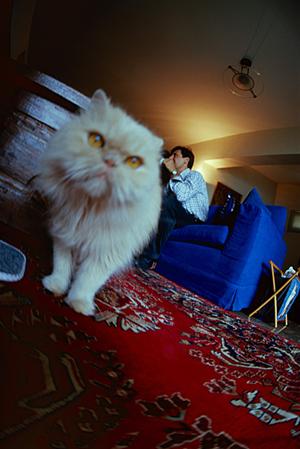 プレミアムドッグフードを選ぶならば